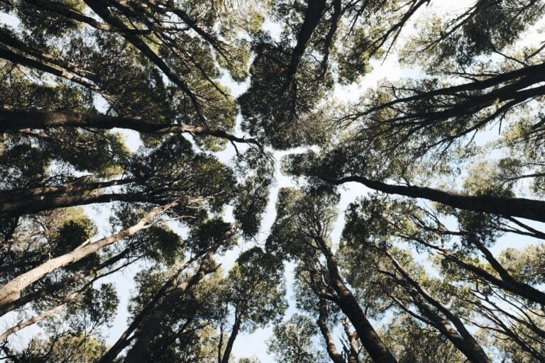 Malattia di Menière Crisi Otolitica di Tumarkin 